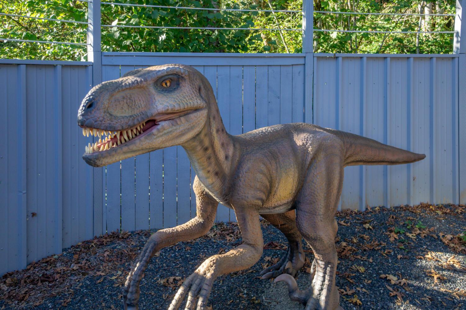 Jurassic Rebirth Out On Jul 2 - Book Your Stay Now (Adults Only) 와슈걸 외부 사진